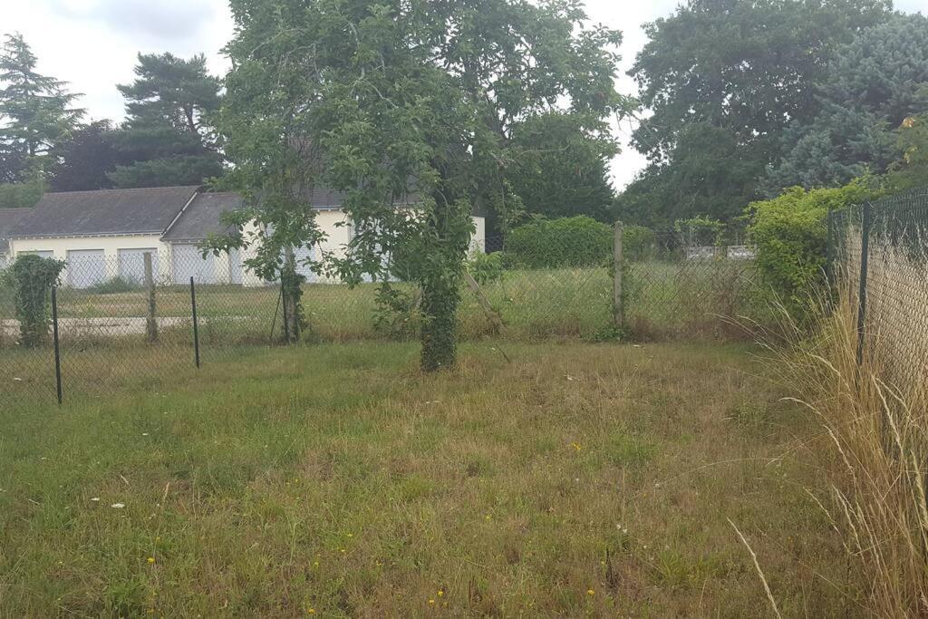 Charmante Maison Pres Du Centre Ville Amboise Ngoại thất bức ảnh