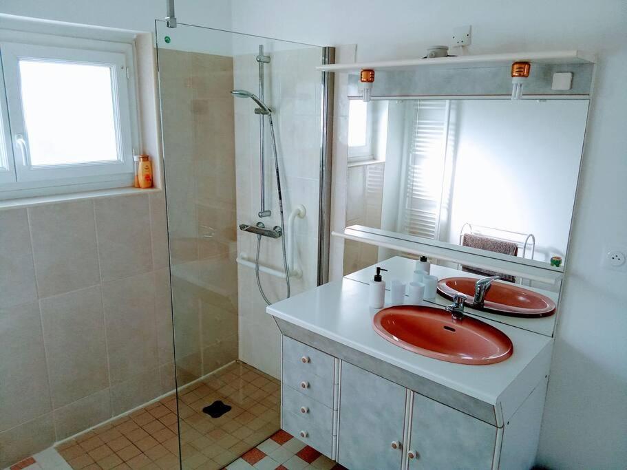 Charmante Maison Pres Du Centre Ville Amboise Ngoại thất bức ảnh